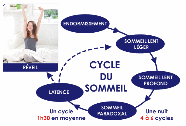 Les cycles de sommeil - Pharmacie Aubret Vial